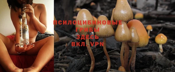 крисы Алексеевка