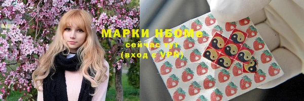 гашик Пестово