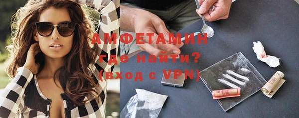 гашик Пестово