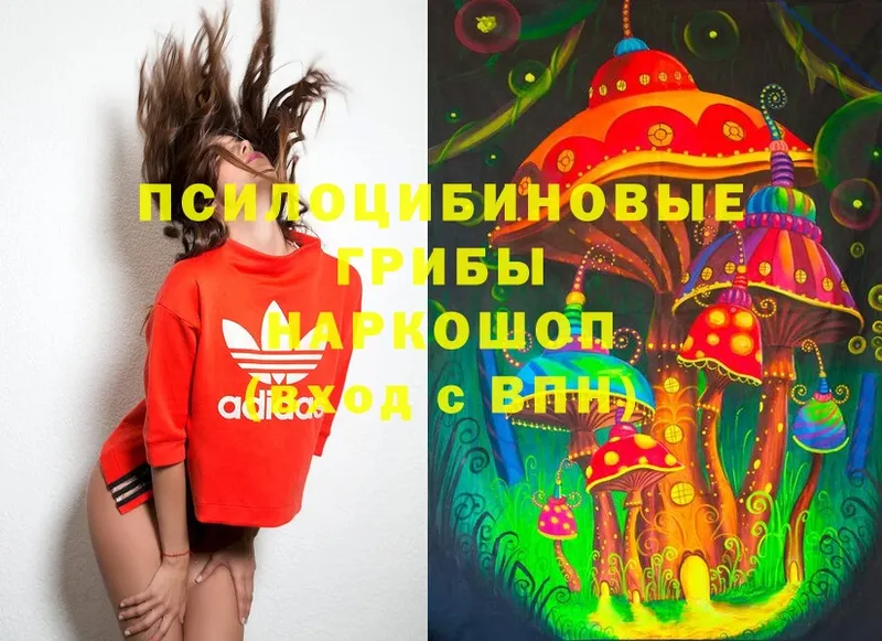 Галлюциногенные грибы Magic Shrooms  Уяр 